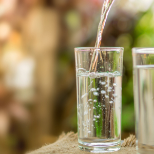 Mikrobiologisk analys