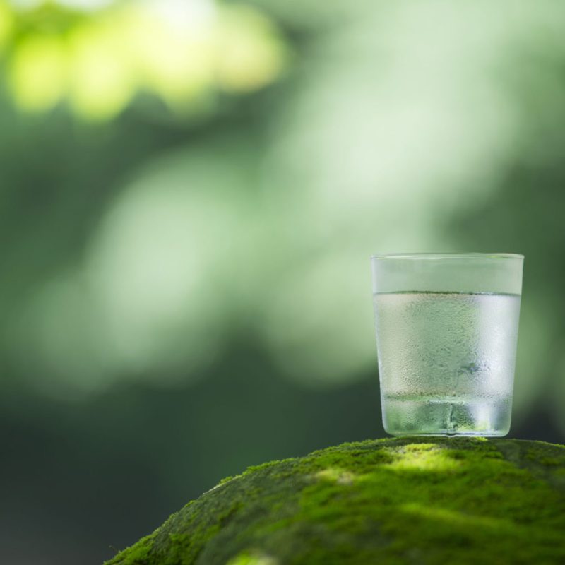 iStock-545557038-scaled