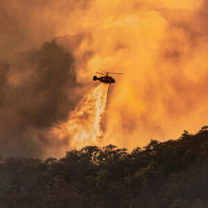 Komplett analys efter skogsbrand